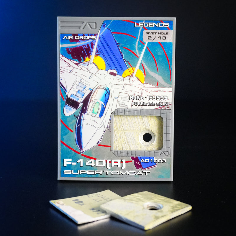 Legends AD1003: F-14D(R) Super Tomcat-1