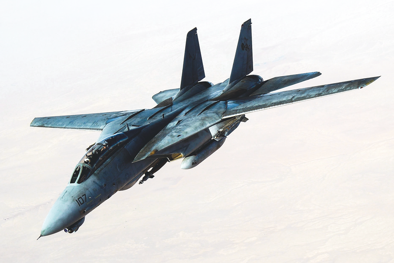 Legends AD1003: F-14D(R) Super Tomcat-2